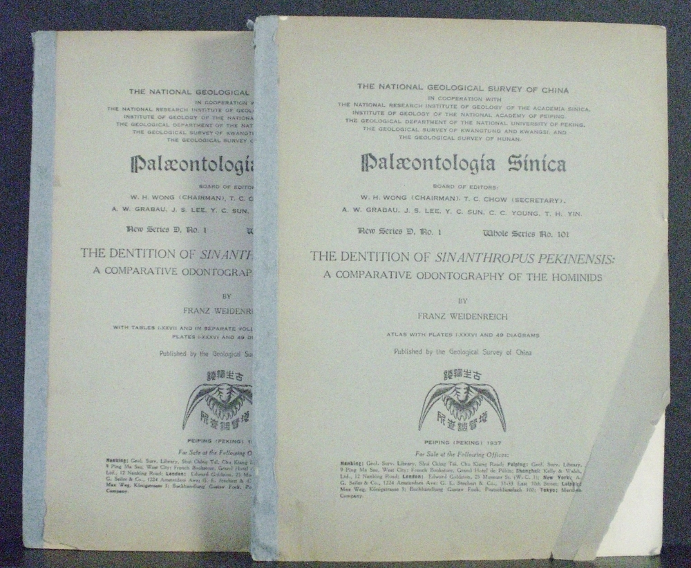 Weidenreich, Franz: Palaeontologia Sinica (New Series D. No.1. Whole Series No.101) The Dentition of Sinanthropus Pekinensis: A Comparative Odontography of the Hominids. 2 volumes