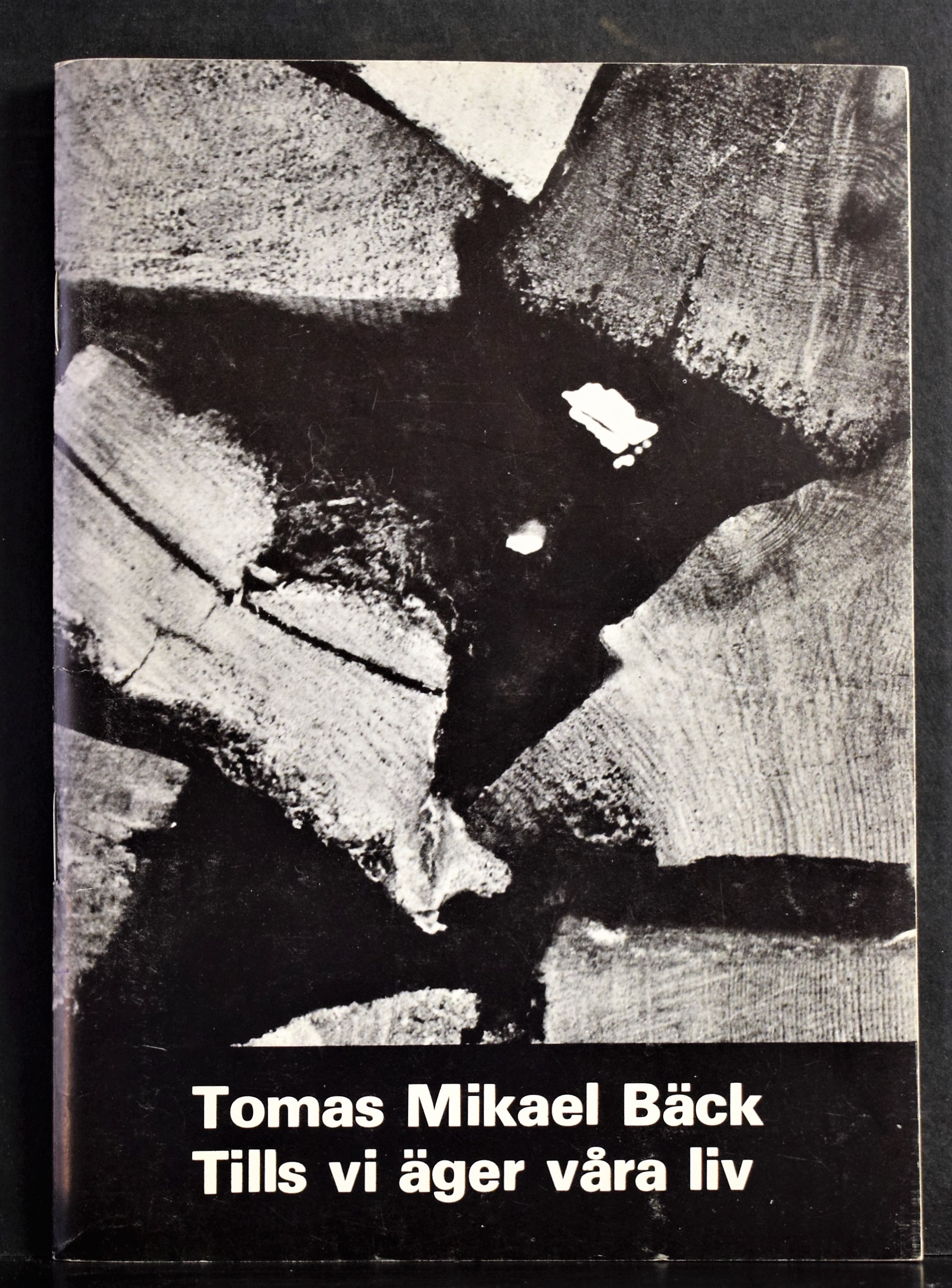 Bäck, Tomas Mikael: Tills vi äger våra liv. Dikter