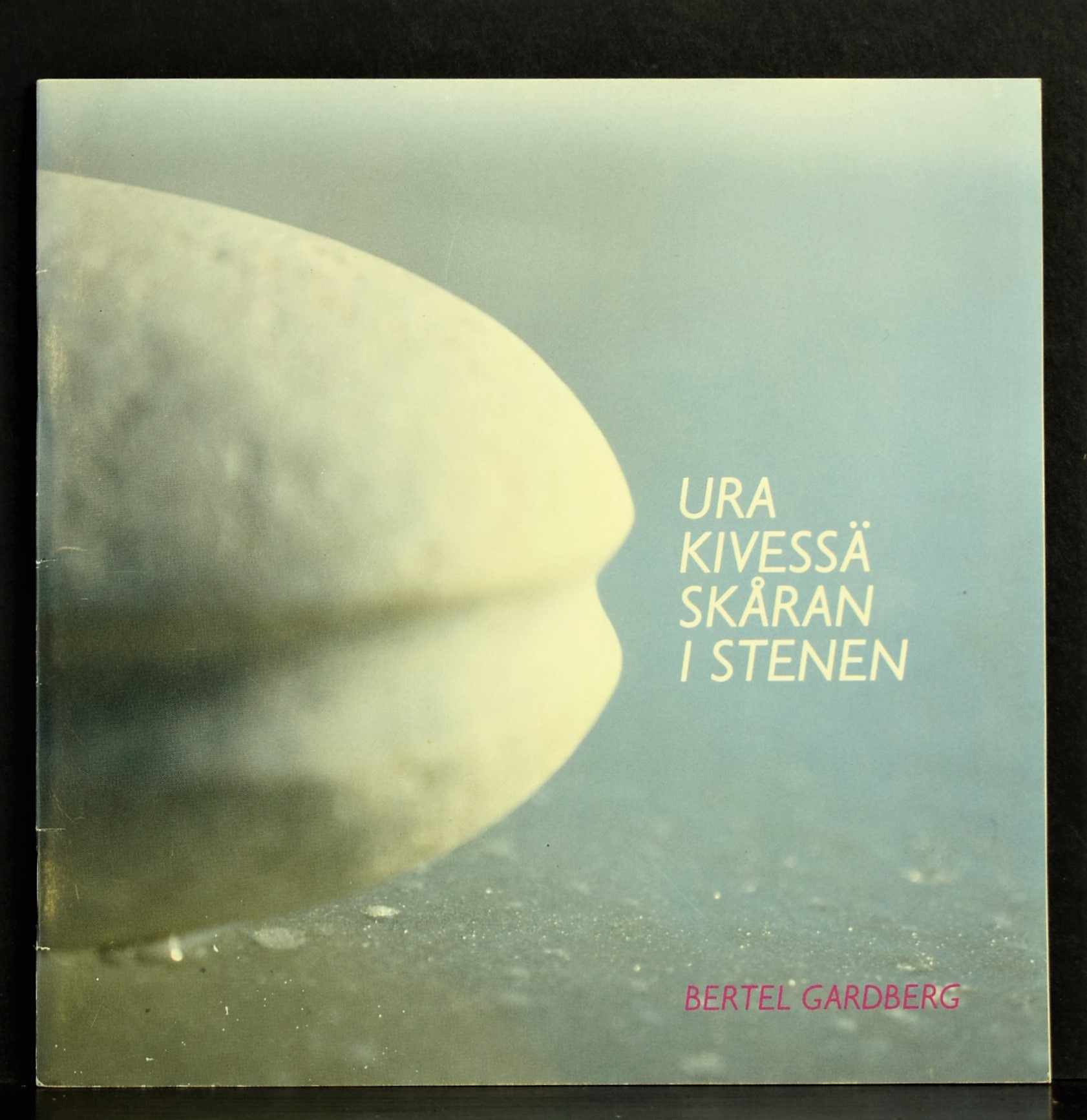Bertel Gardberg Ura kivessä – Skåren i stenen