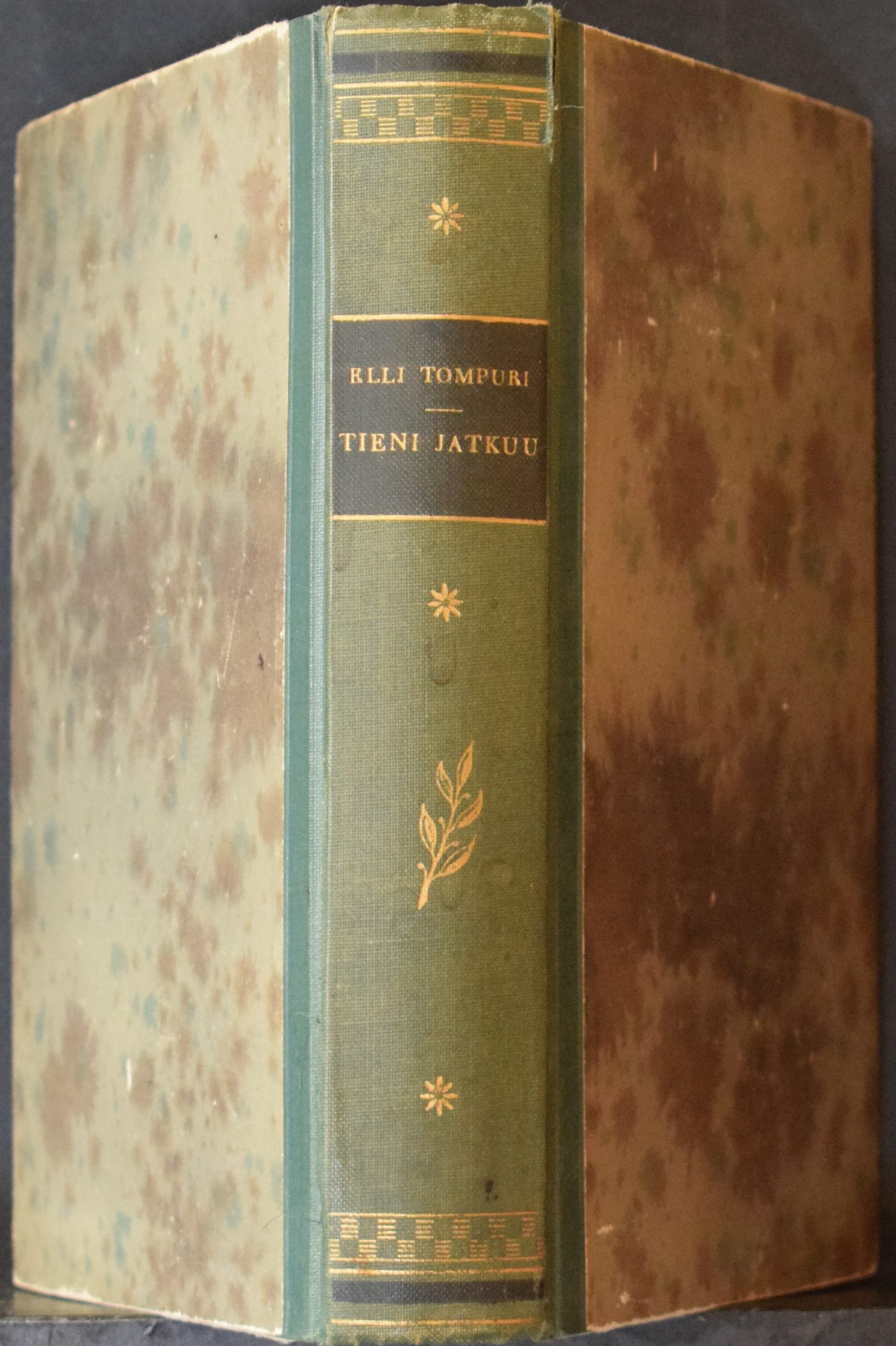 Elli Tompuri Tieni jatkuu Tekijän omiste Elmer Diktoniukselle