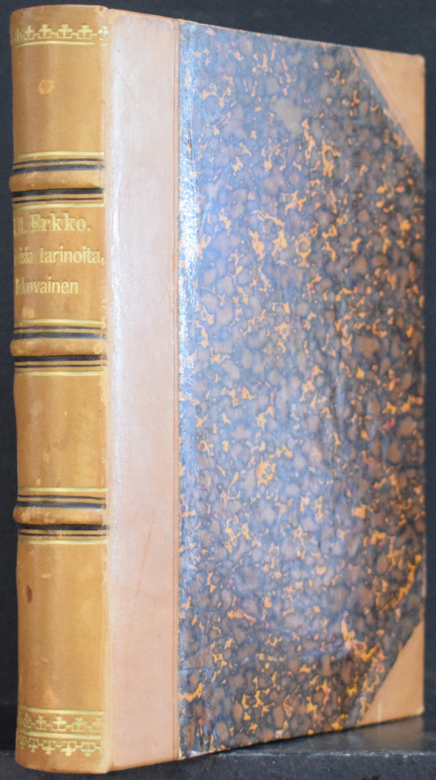 J. H. Erkko Kotoisia tarinoita+ Uskovainen. eletty kertomus