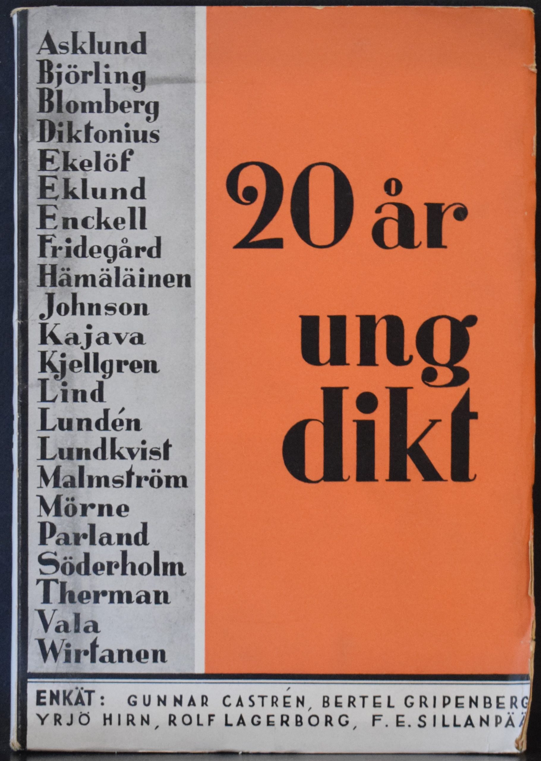20 år ung dikt