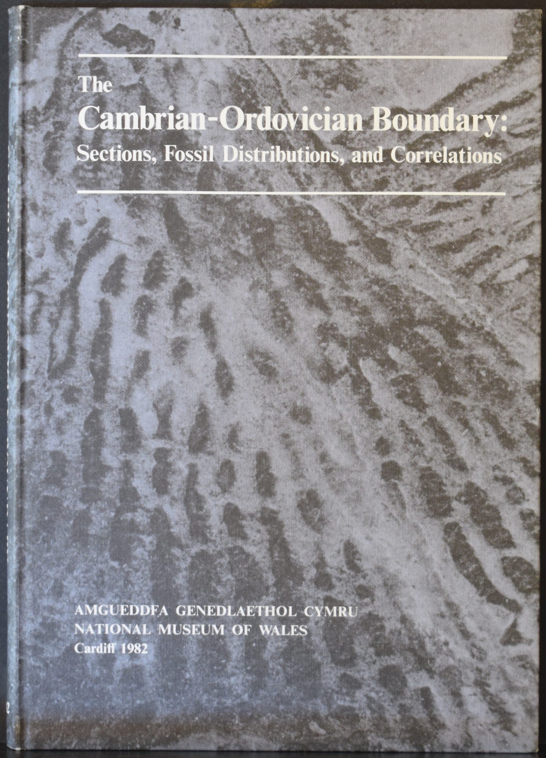 The Cambrian-Ordovician Boundary