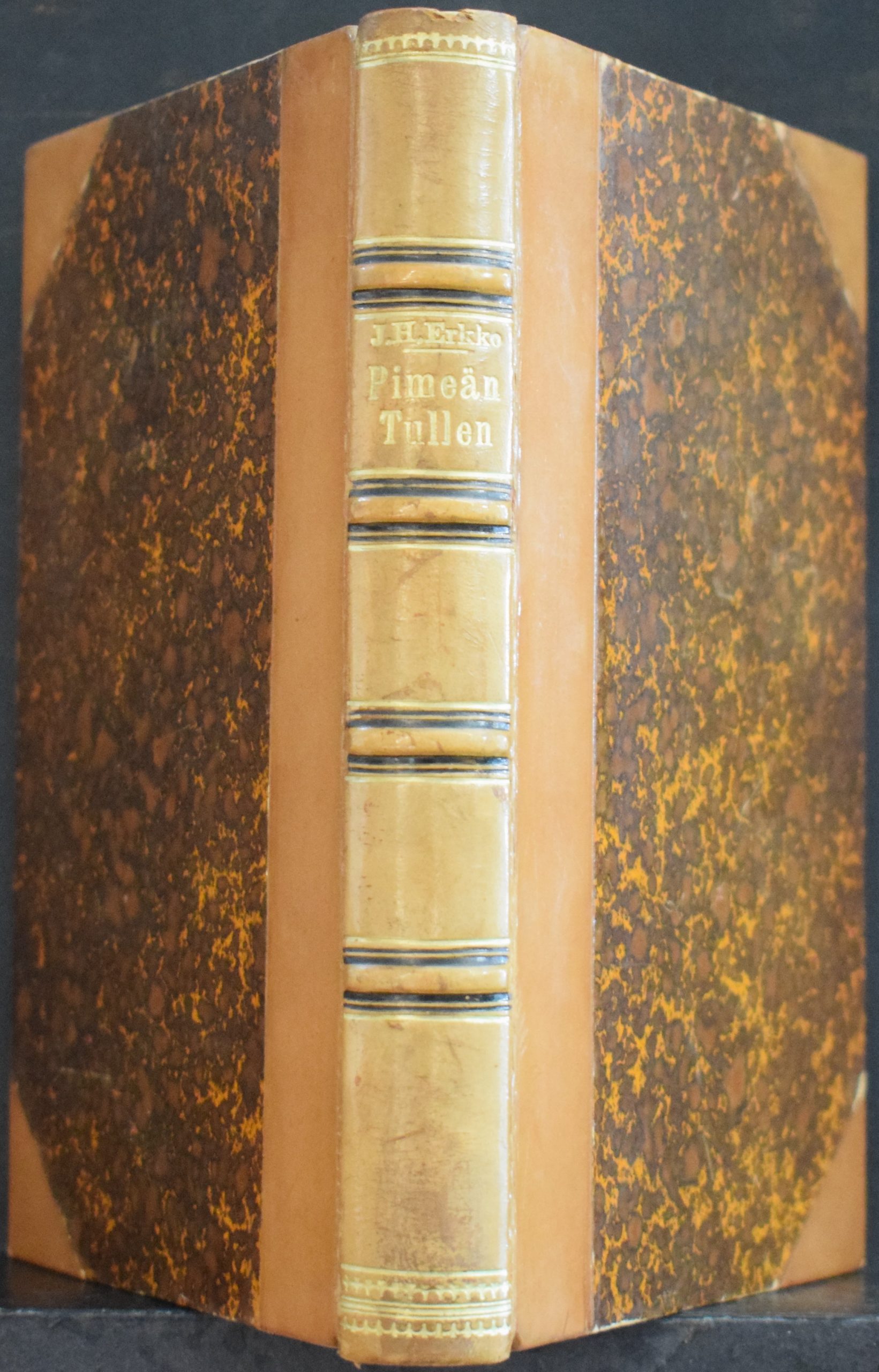 J. H. Erkko Pimeän tullen – Runoa ja suorasanaista