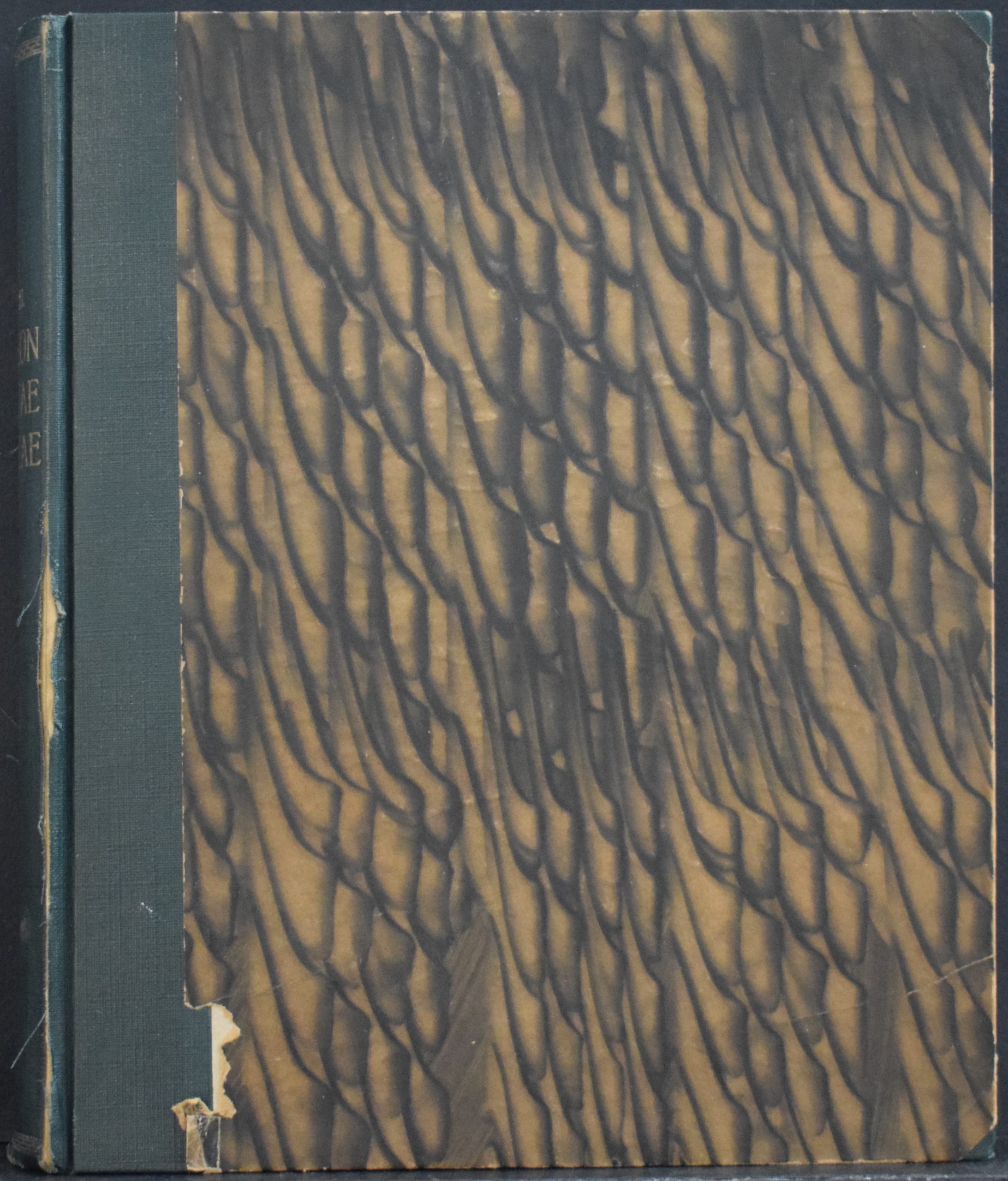 Renvall, Gustaf: Suomalainen sana-kirja . Lexicon linguae finnicae, cum interpretatione duplici, copiosiore latina, breviore germanica. 1-2.