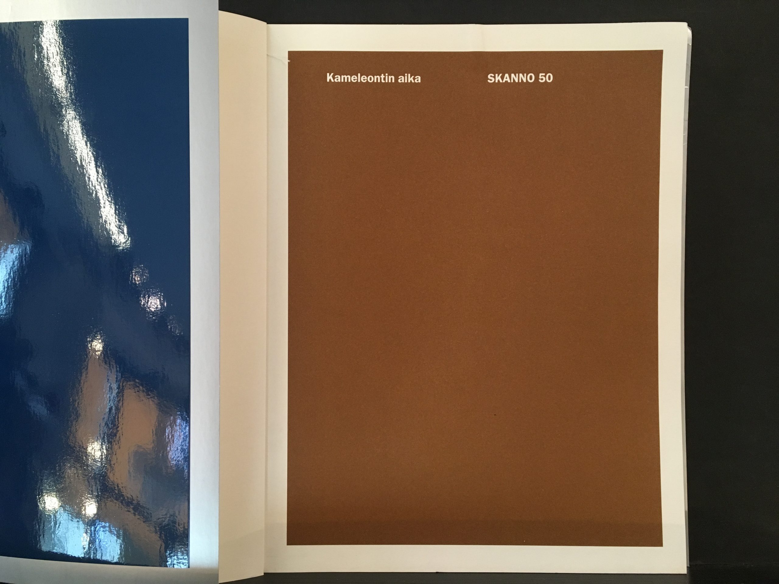 Smeds, Kerstin: Kameleontin aika - Skanno 50 - Image 2