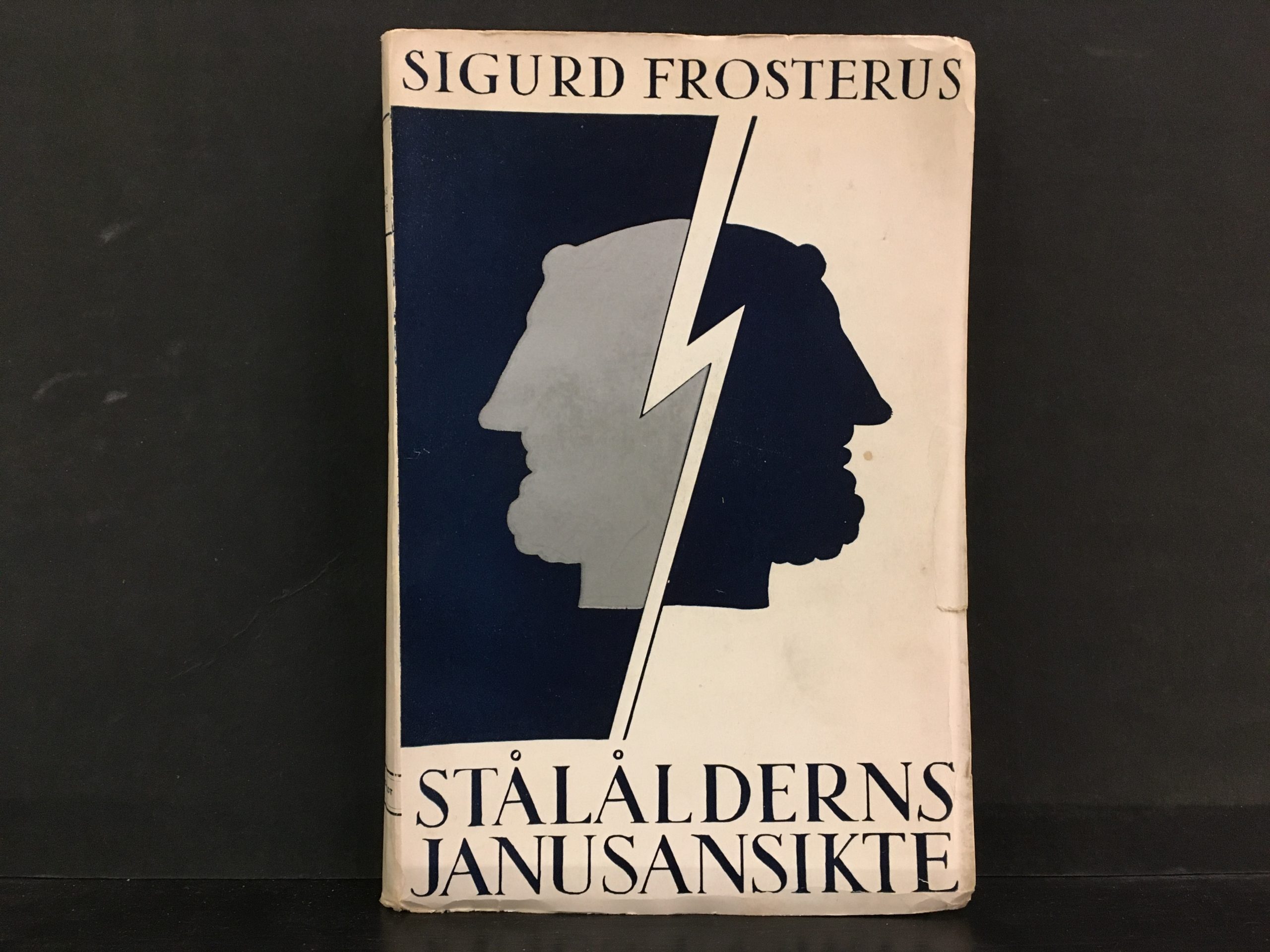 Frosterus, Sigurd: Stålålderns janusansikte och andra essäer