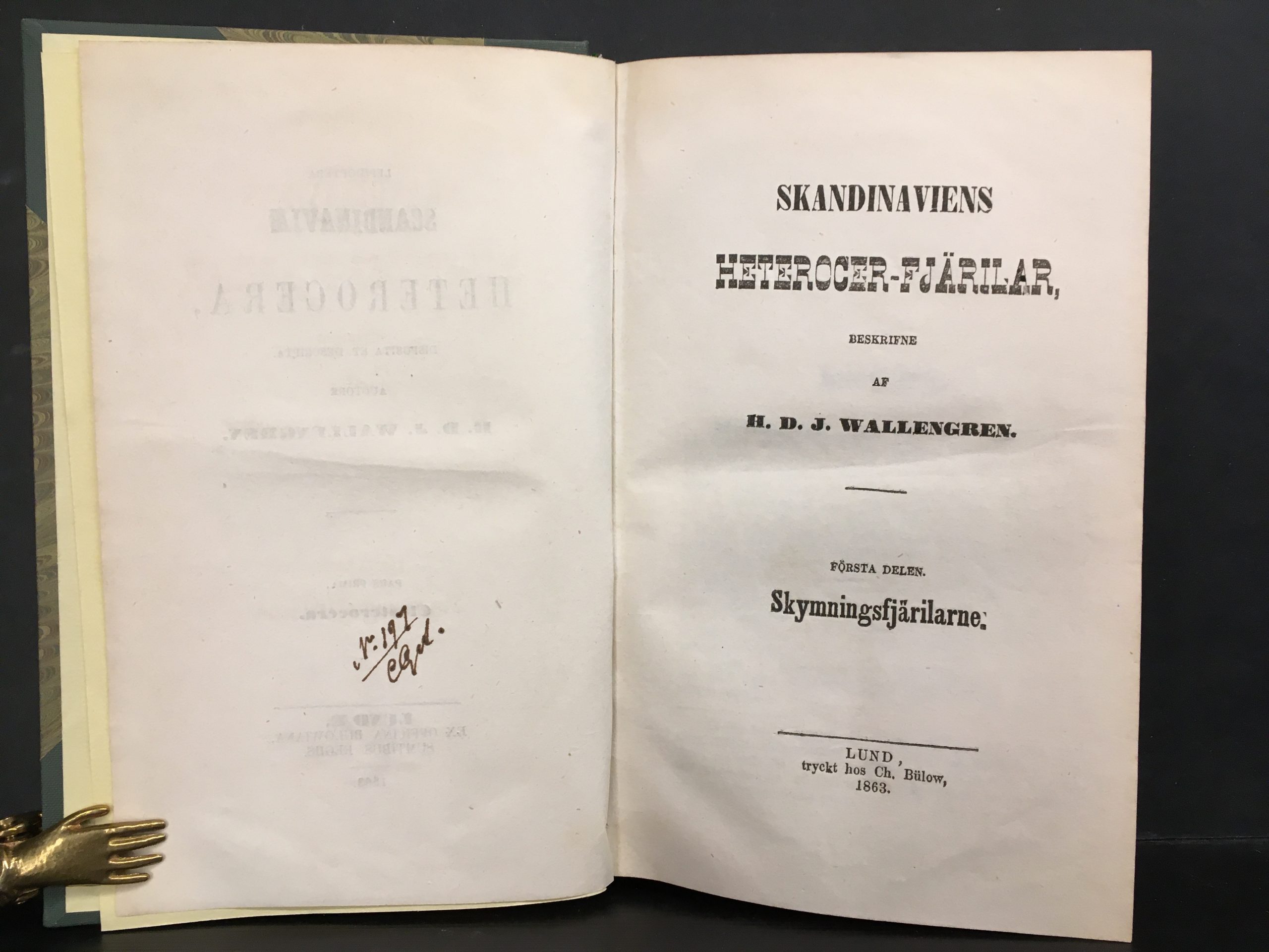 Wallengren, H. D. J.: Skandinaviens Heterocerfjärilar: I. Closterocera II. Spinnarna - Image 2