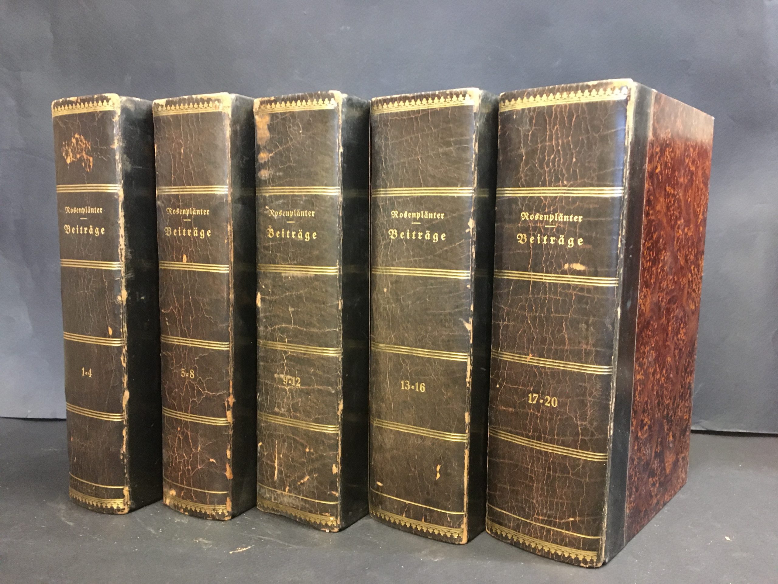 Rosenplänter, Johann Heinrich: Beiträge zur genauern Kenntniss der ehstnischen Sprache I-XX