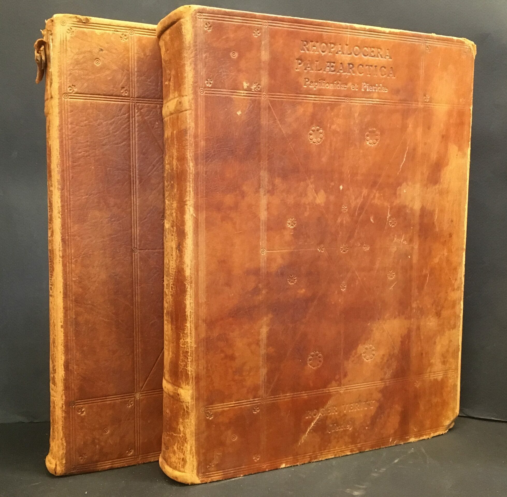 Roger Verity Rhopalocera Palaearctica I-II