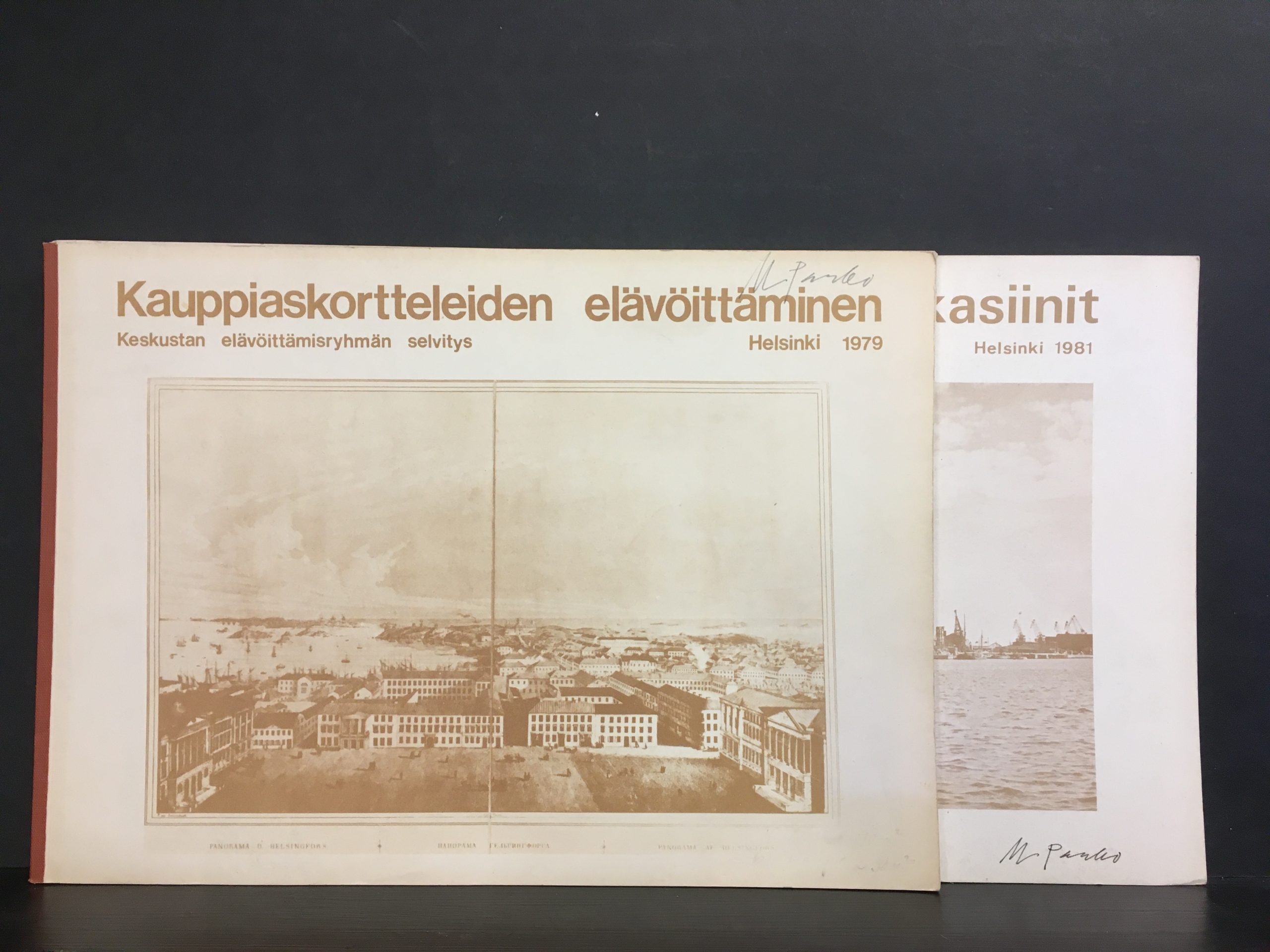 Kauppiaskortteleiden elävöittäminen 1979, Kanavakadun makasiinit 1981. Keskustan elävöittämisryhmän selvitys