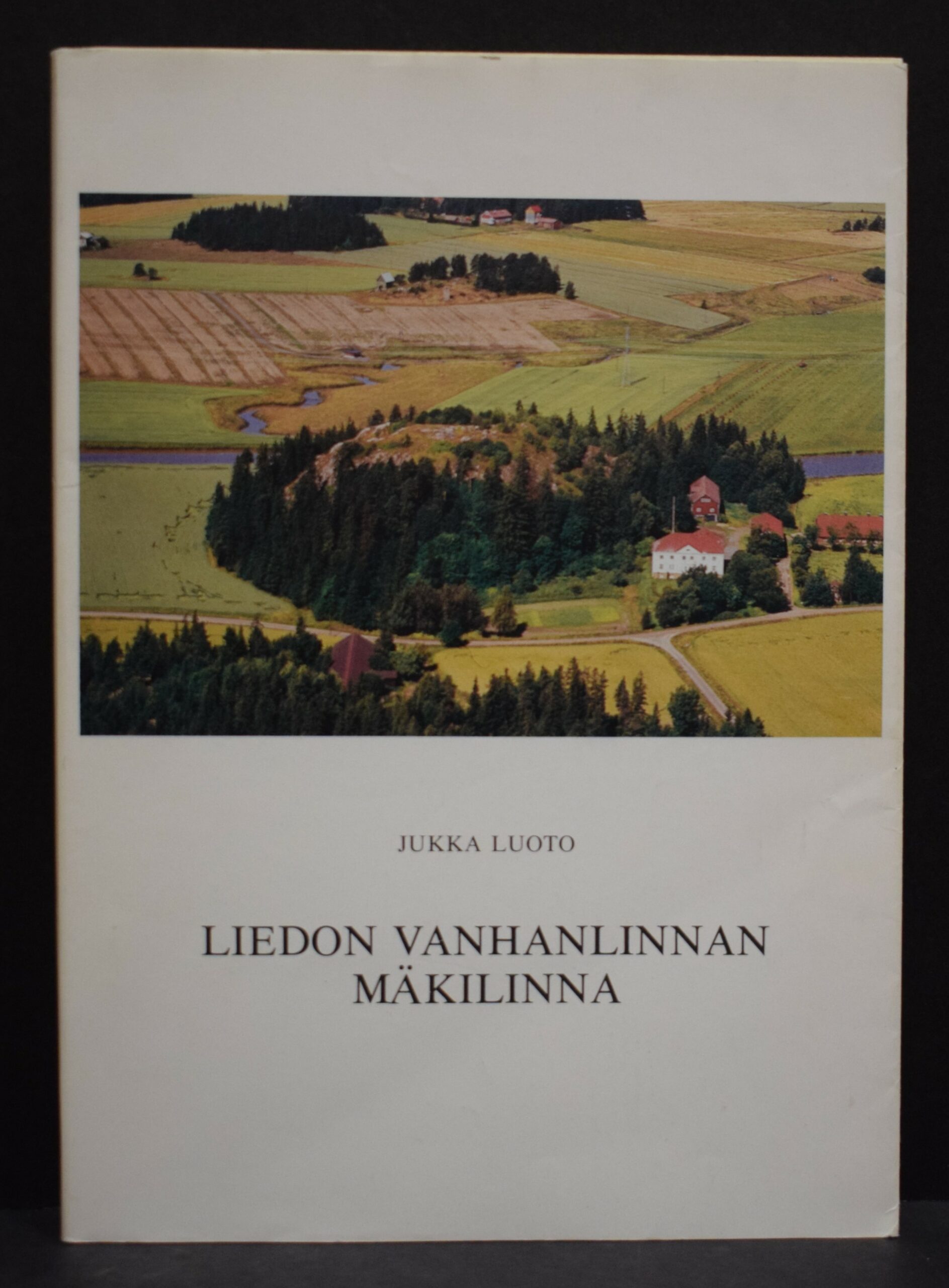 Liedon vanhanlinnan mäkilinna