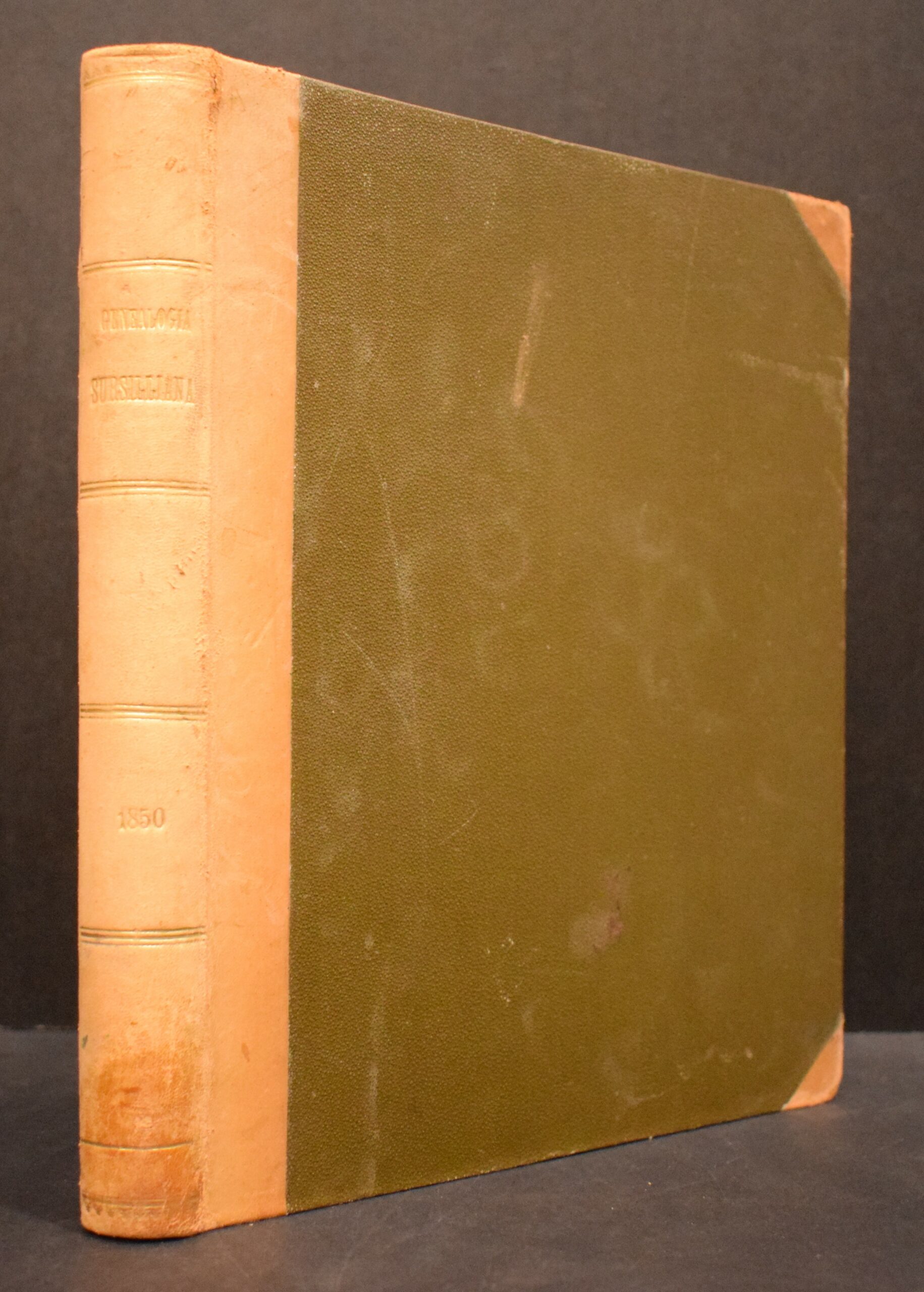 Genealogia Sursilliana