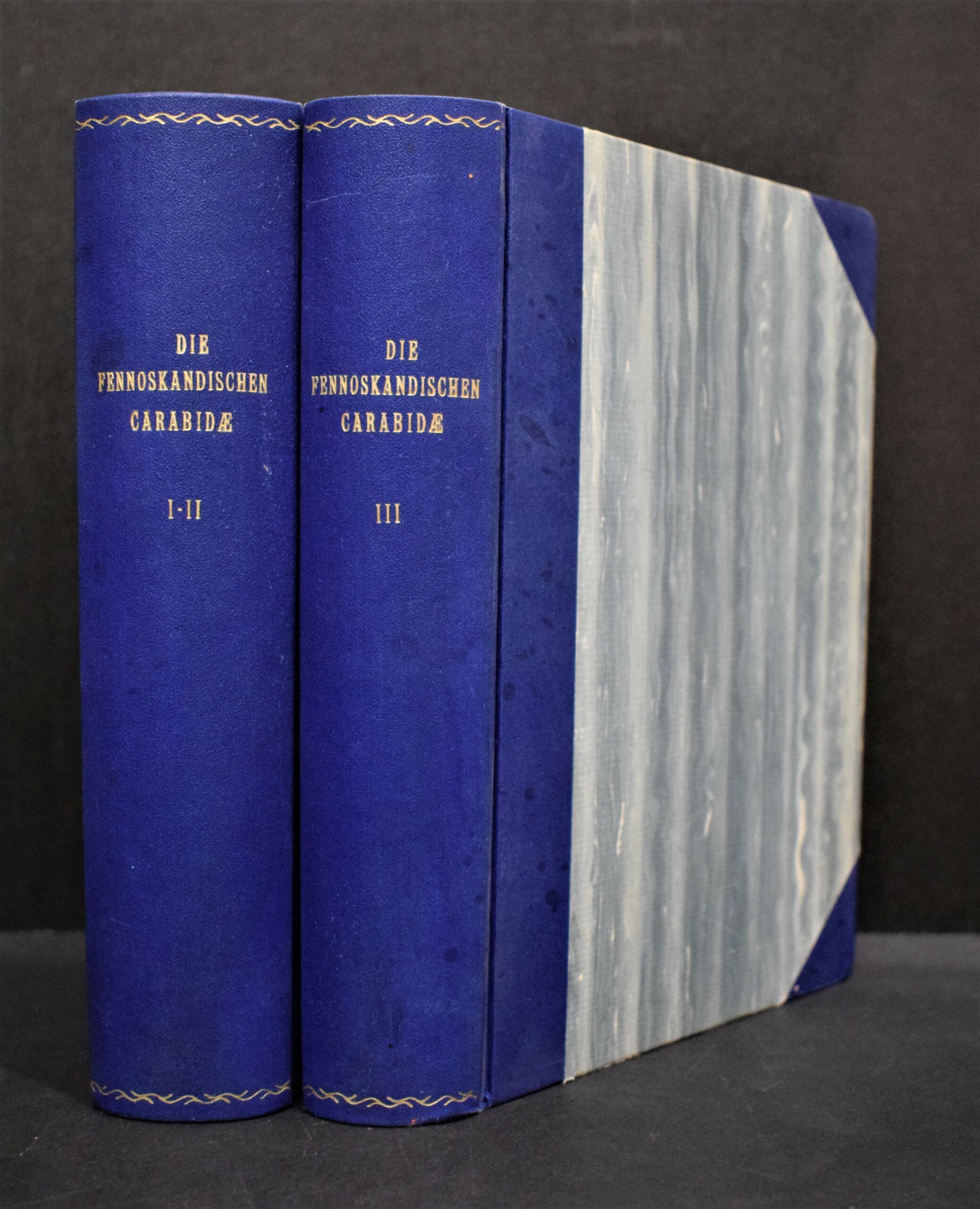 Die Fennoskandischen Carabidae I-II, III