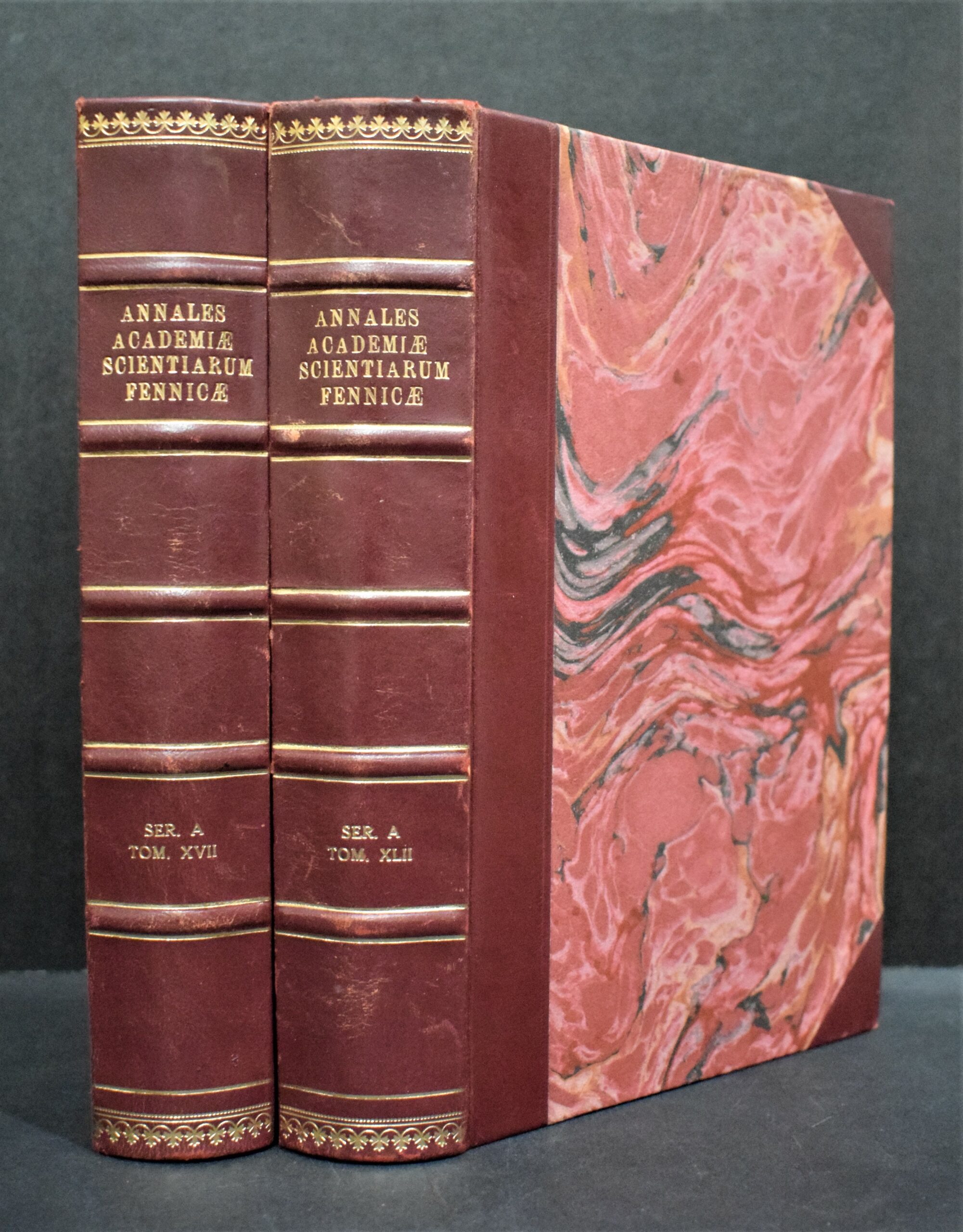 Die Ustilagineen Finnlands