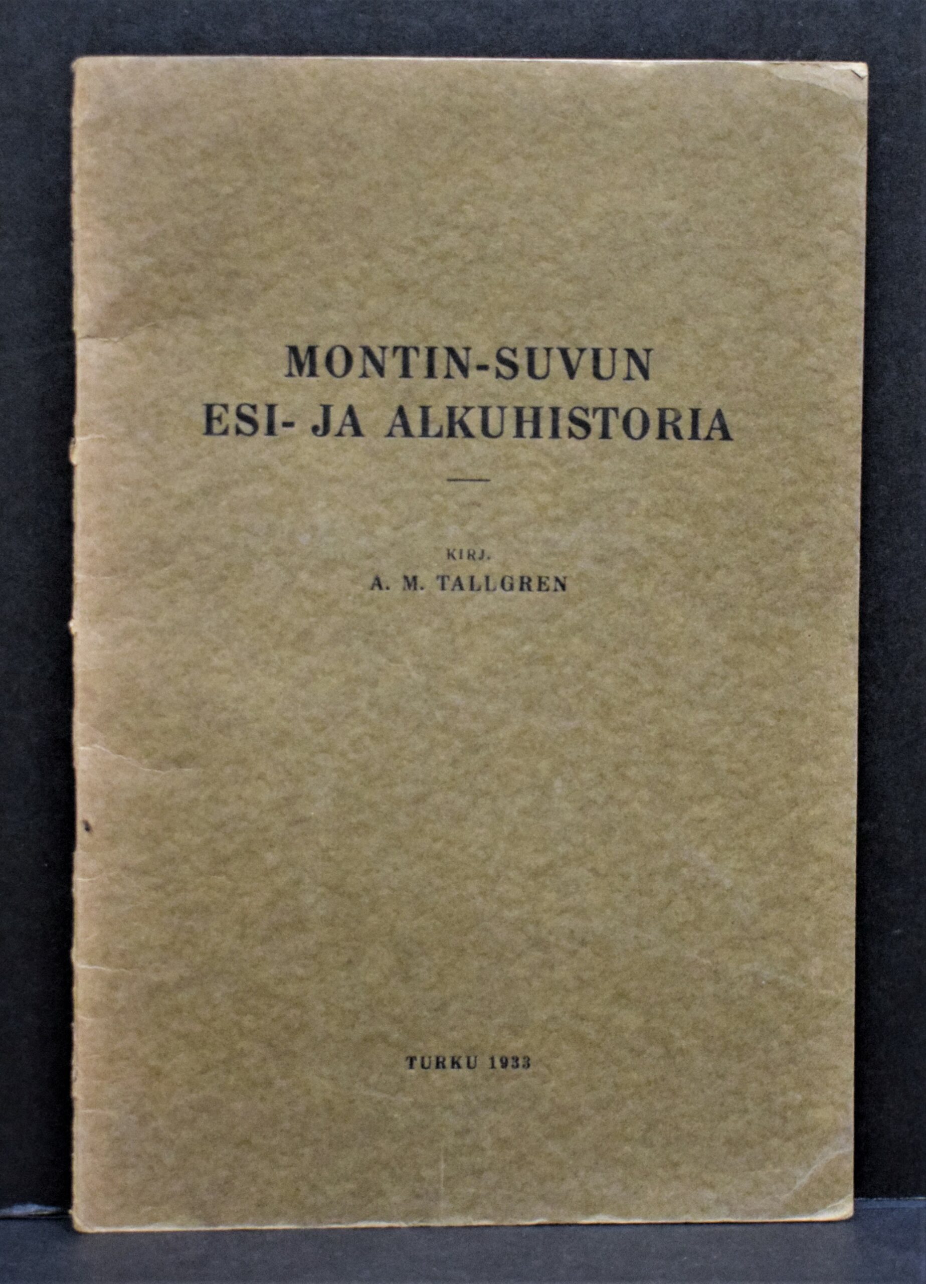 Montin-suvun esi- ja alkuhistoria