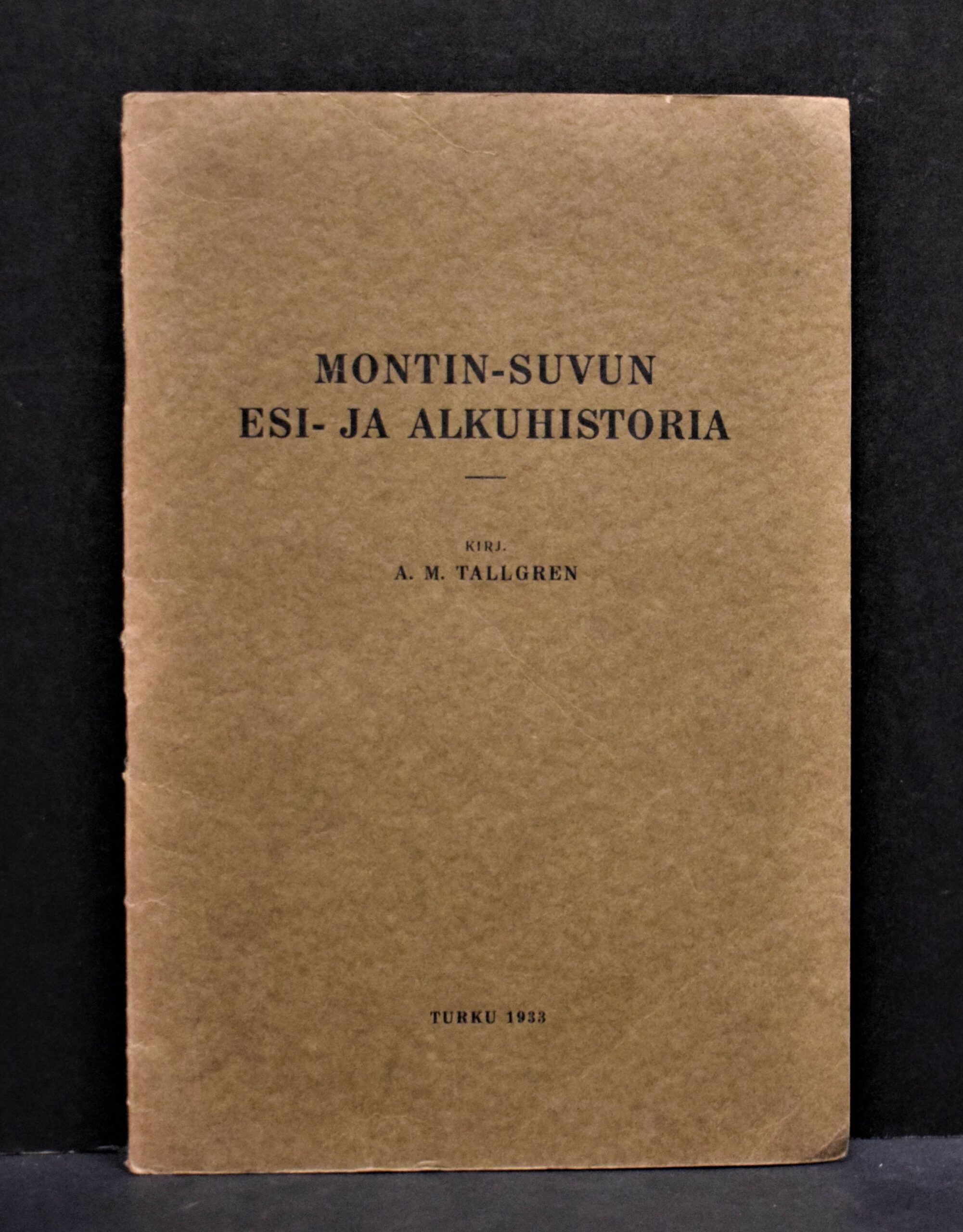 Montin-suvun esi- ja alkuhistoria