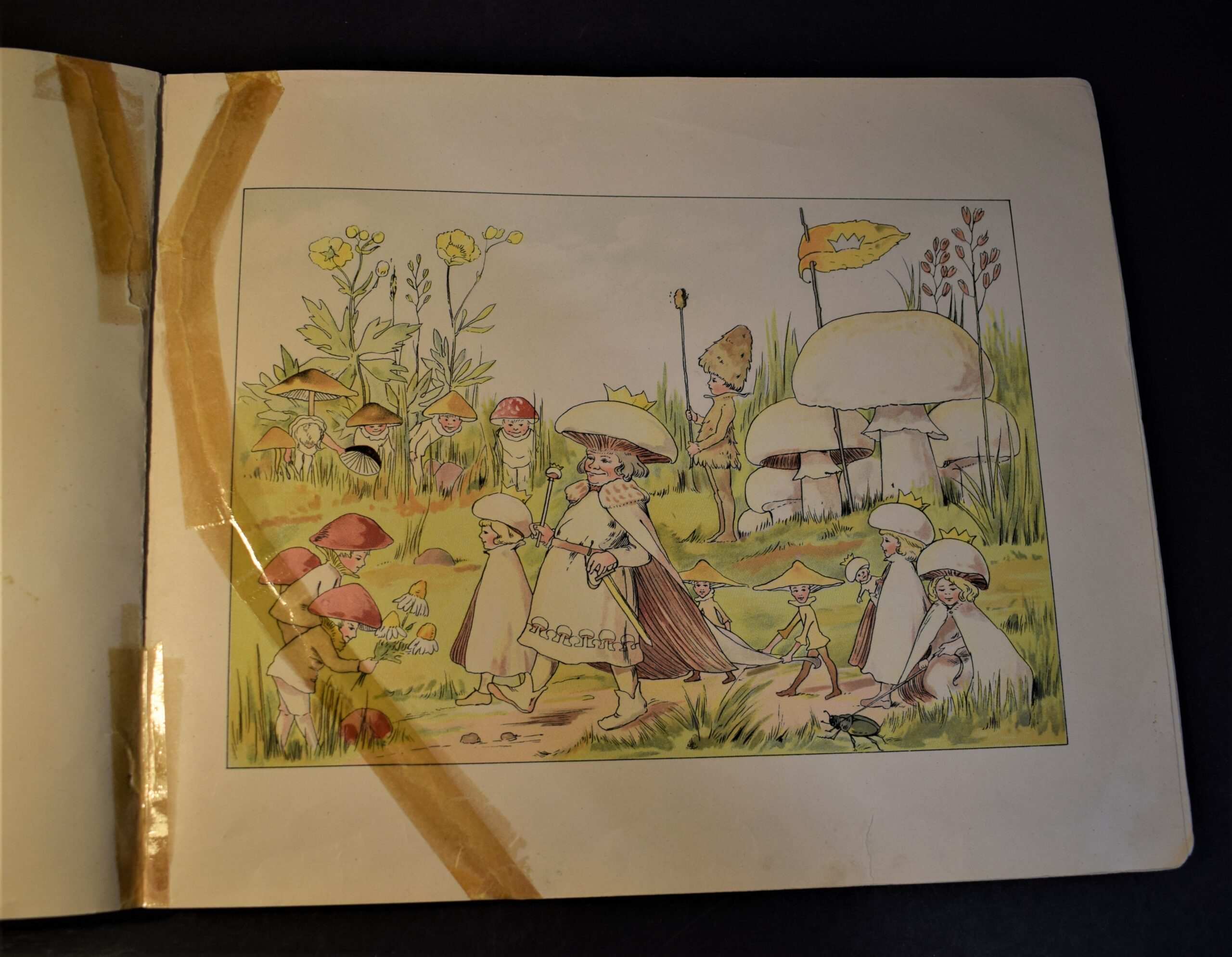 Småttingarnas svampbok tejpningar