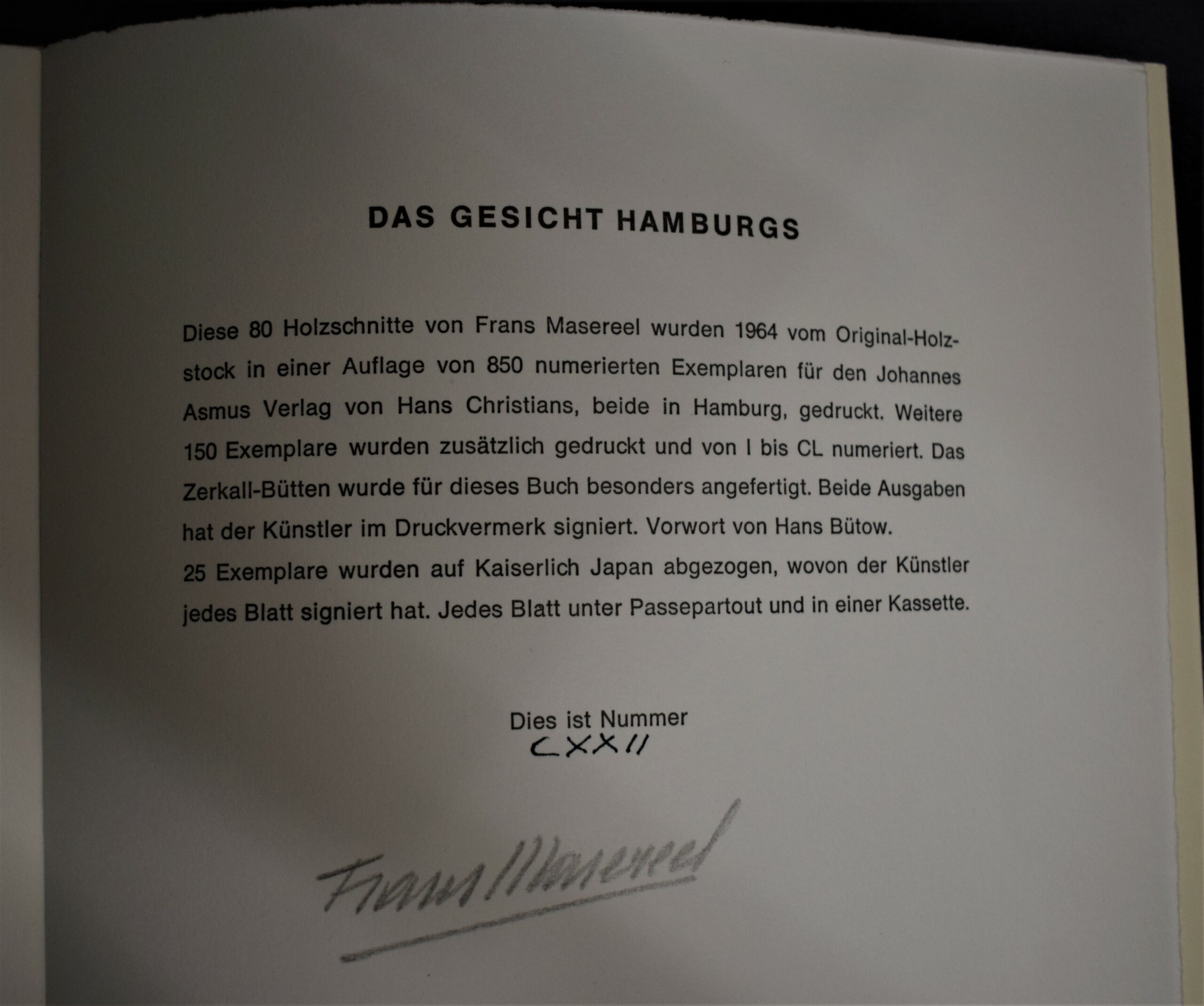 Das Gesicht Hamburgs (photo)1