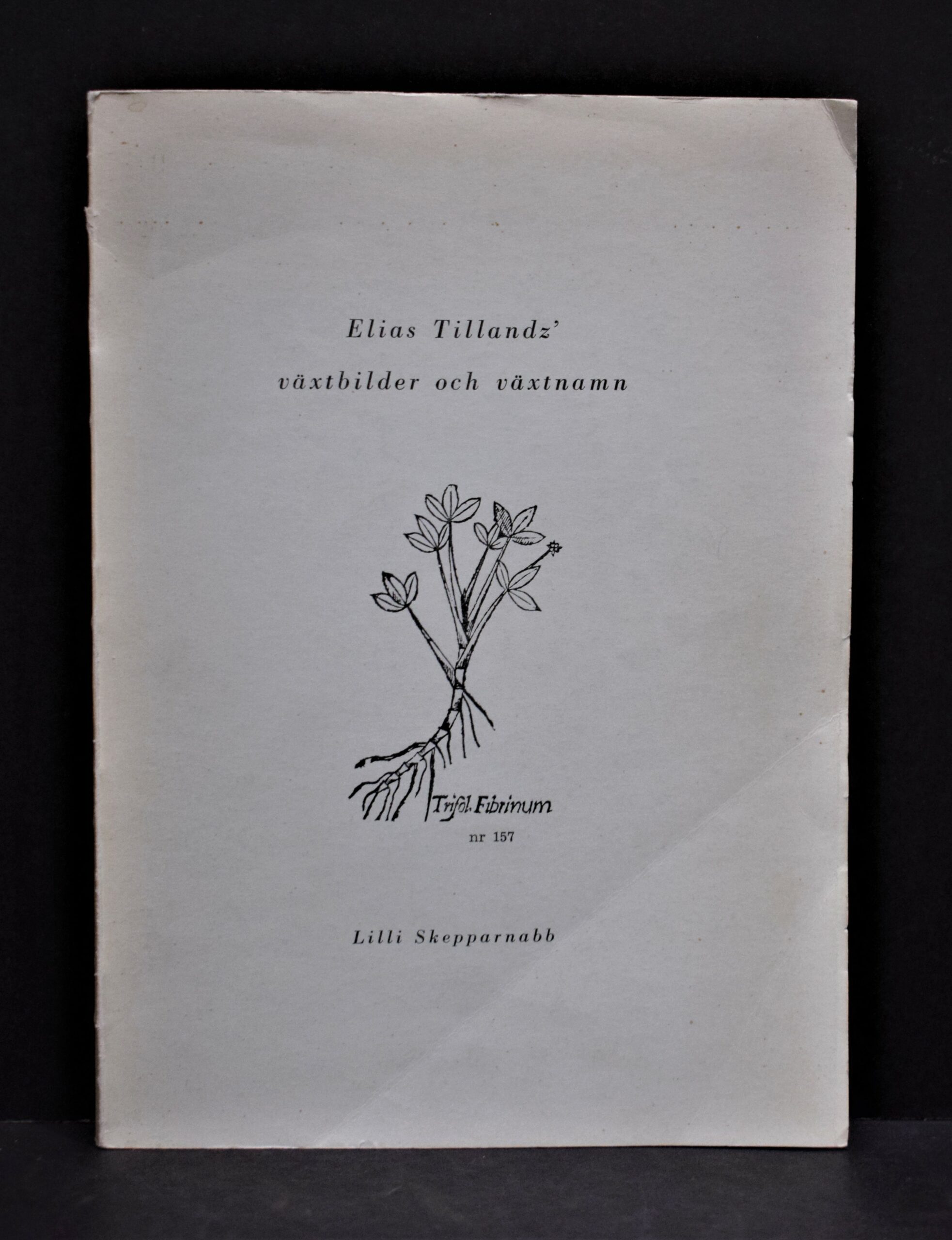 Elias Tillandz' växtbilder och växtnamn