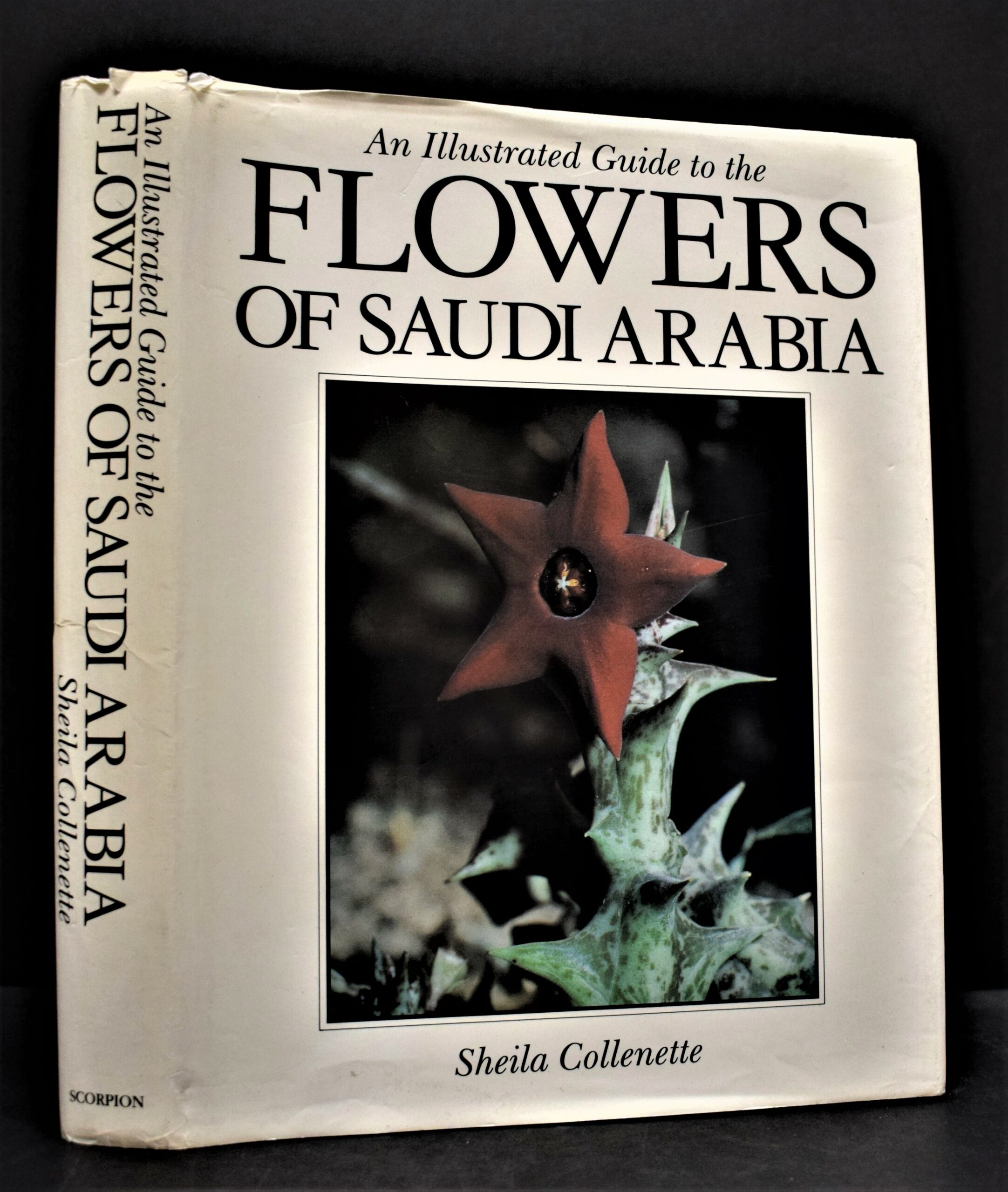 An Illustrated Guide to the Flowers of Saudi Arabia